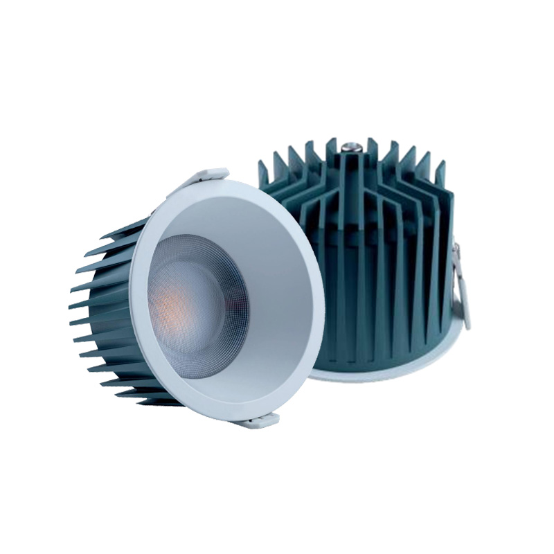 FR-DLT04 Series LED Down Light 